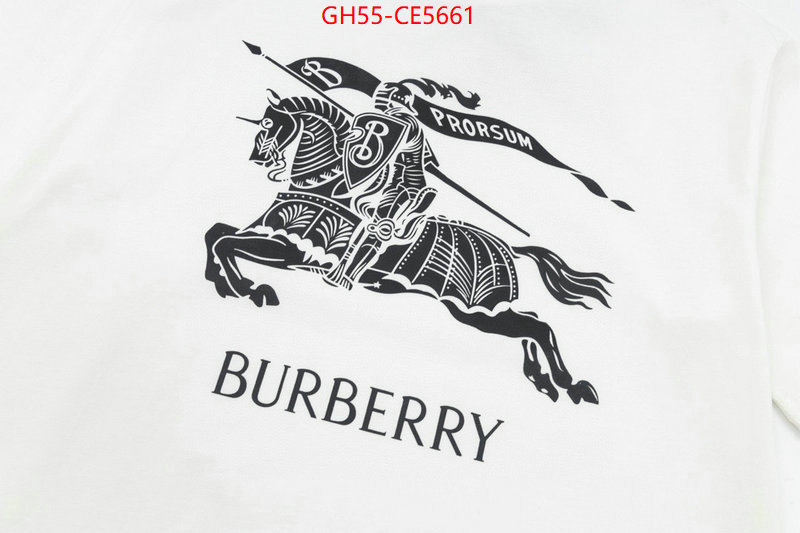 Clothing-Burberry,shop ID: CE5661,$: 55USD