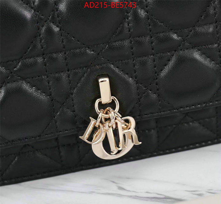 Dior Bags(TOP)-Other Style-,new ID: BE5743,$: 215USD