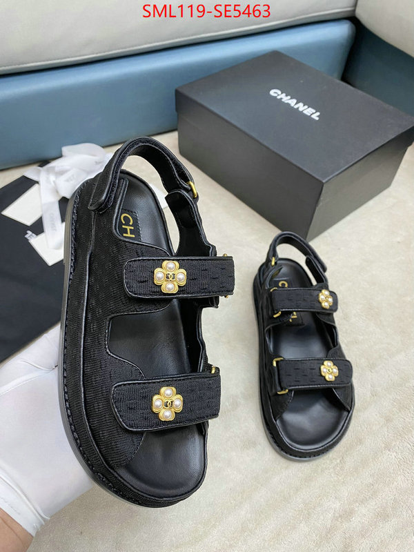 Women Shoes-Chanel,what is top quality replica ID: SE5463,$: 119USD