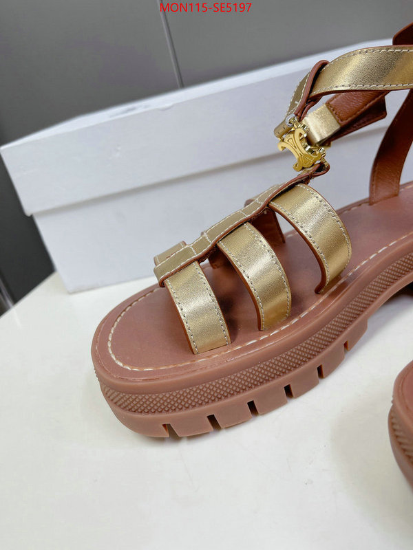 Women Shoes-CELINE,buy the best high quality replica ID: SE5197,$: 115USD