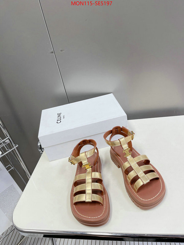 Women Shoes-CELINE,buy the best high quality replica ID: SE5197,$: 115USD