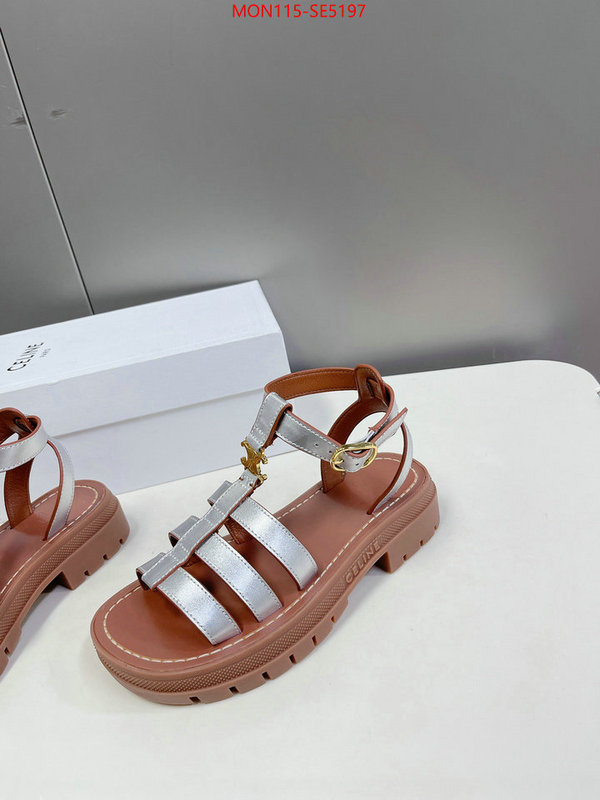 Women Shoes-CELINE,buy the best high quality replica ID: SE5197,$: 115USD