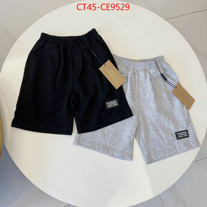 Kids clothing-Burberry,aaaaa+ replica designer ID: CE9529,$: 45USD