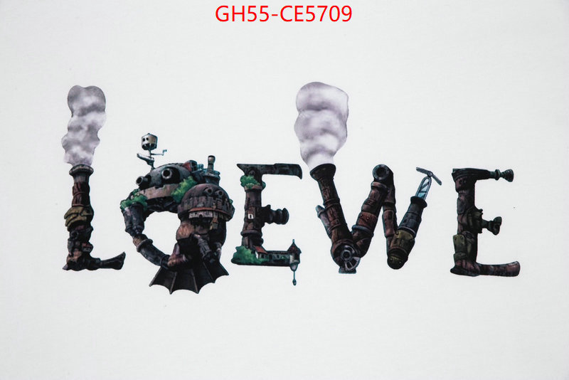 Clothing-Loewe,we curate the best ID: CE5709,$: 55USD