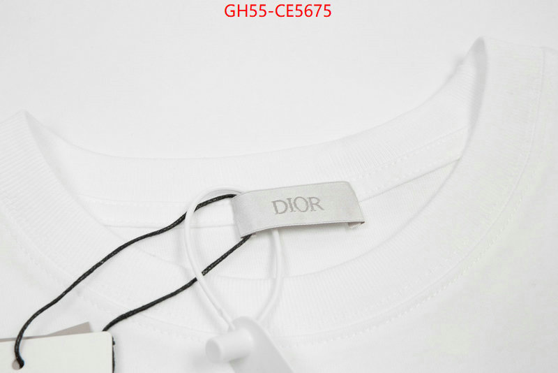 Clothing-Dior,best site for replica ID: CE5675,$: 55USD