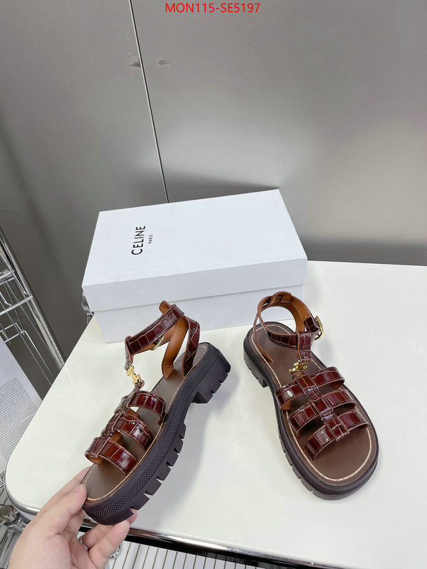 Women Shoes-CELINE,buy the best high quality replica ID: SE5197,$: 115USD