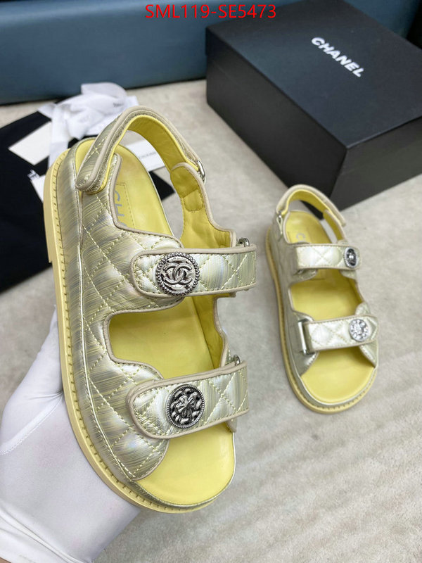 Women Shoes-Chanel,copy ID: SE5473,$: 119USD