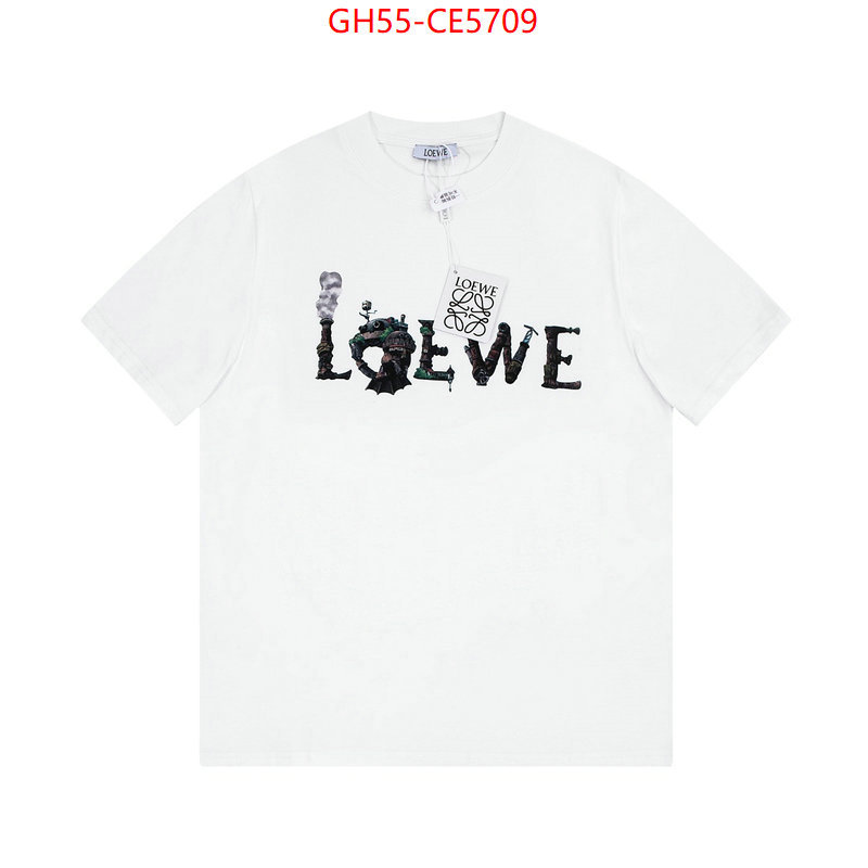 Clothing-Loewe,we curate the best ID: CE5709,$: 55USD