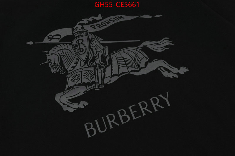 Clothing-Burberry,shop ID: CE5661,$: 55USD