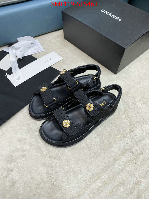 Women Shoes-Chanel,what is top quality replica ID: SE5463,$: 119USD