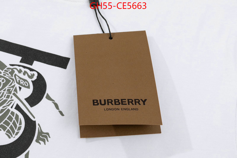 Clothing-Burberry,the best designer ID: CE5663,$: 55USD