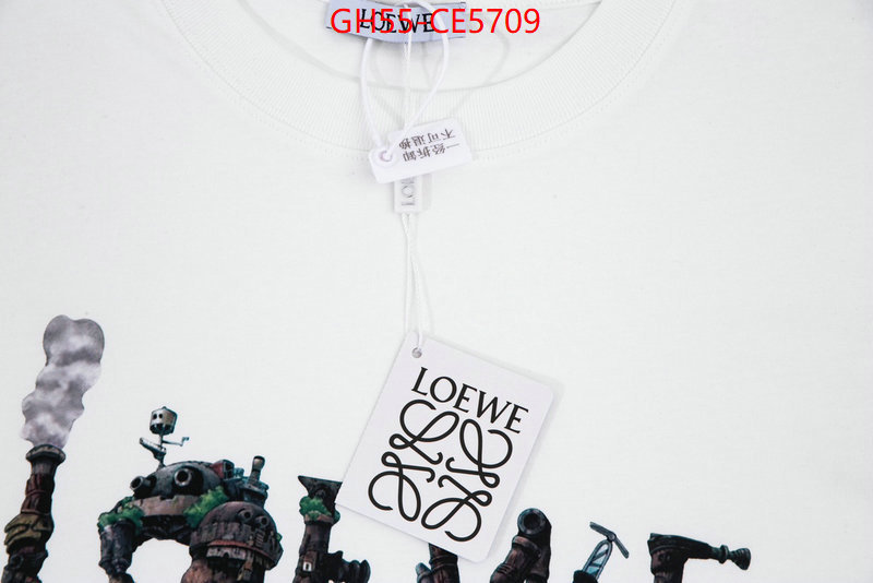 Clothing-Loewe,we curate the best ID: CE5709,$: 55USD