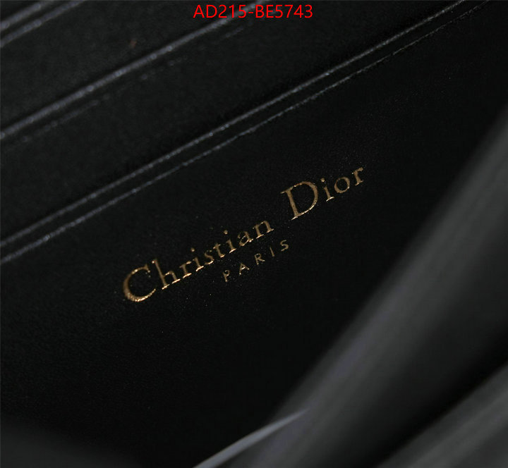Dior Bags(TOP)-Other Style-,new ID: BE5743,$: 215USD