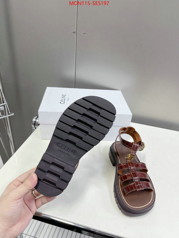 Women Shoes-CELINE,buy the best high quality replica ID: SE5197,$: 115USD