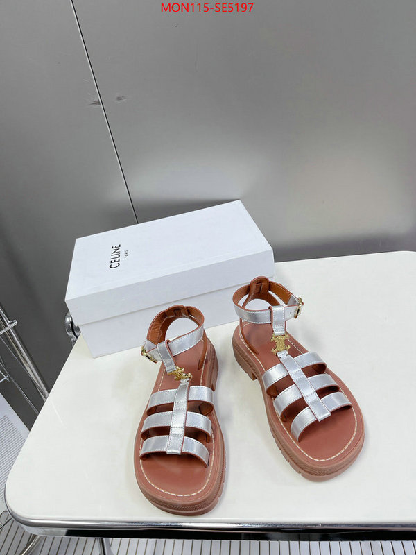 Women Shoes-CELINE,buy the best high quality replica ID: SE5197,$: 115USD