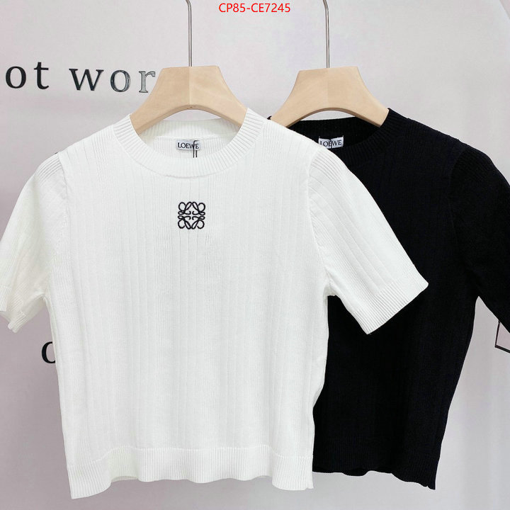 Clothing-Loewe,2023 luxury replicas ID: CE7245,$: 85USD