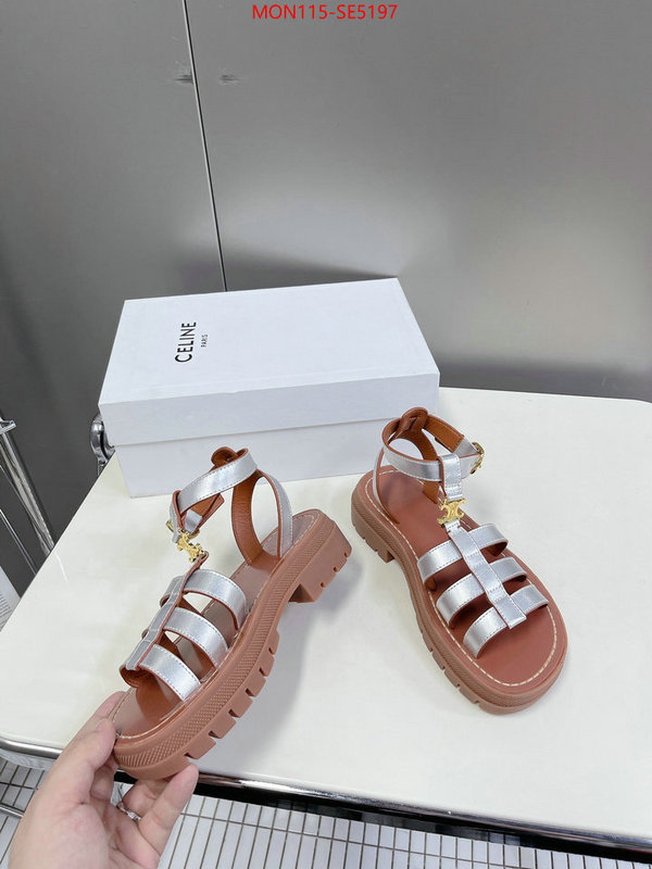 Women Shoes-CELINE,buy the best high quality replica ID: SE5197,$: 115USD