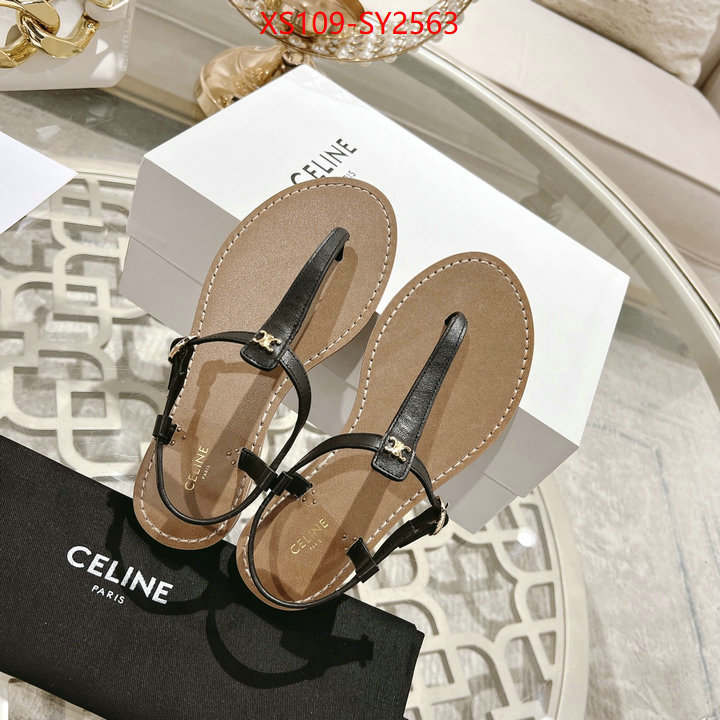 Women Shoes-CELINE luxury shop ID: SY2563 $: 109USD