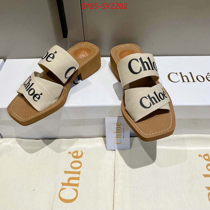 Women Shoes-Chloe the highest quality fake ID: SY2202 $: 95USD