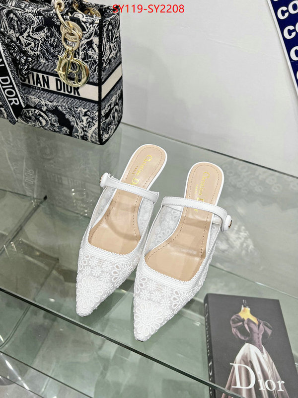 Women Shoes-Dior top quality ID: SY2208 $: 119USD