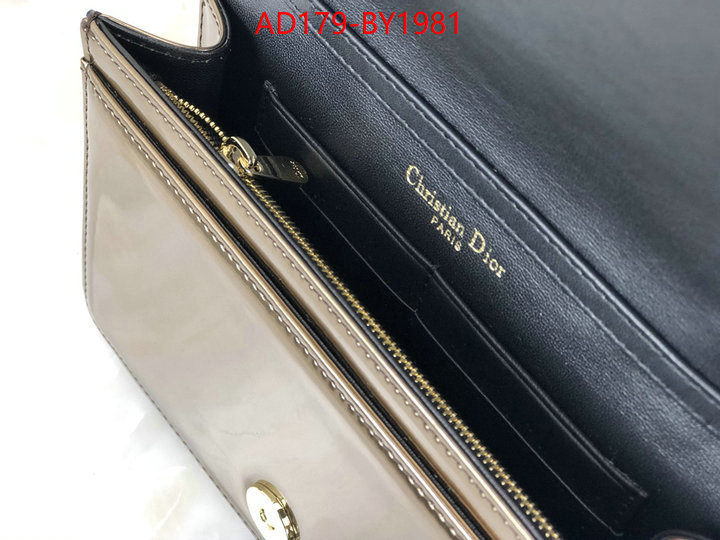 Dior Bags(TOP)-Other Style- knockoff highest quality ID: BY1981 $: 179USD