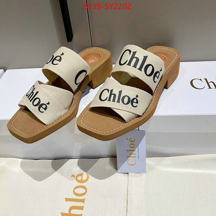 Women Shoes-Chloe the highest quality fake ID: SY2202 $: 95USD