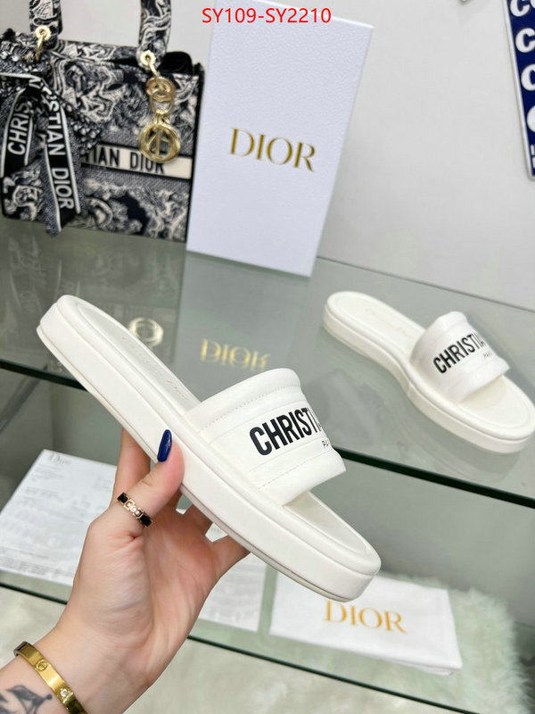 Women Shoes-Dior knockoff highest quality ID: SY2210 $: 109USD