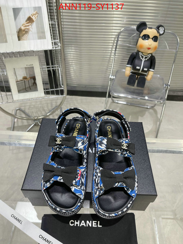 Women Shoes-Chanel,sellers online ID: SY1137,$: 119USD