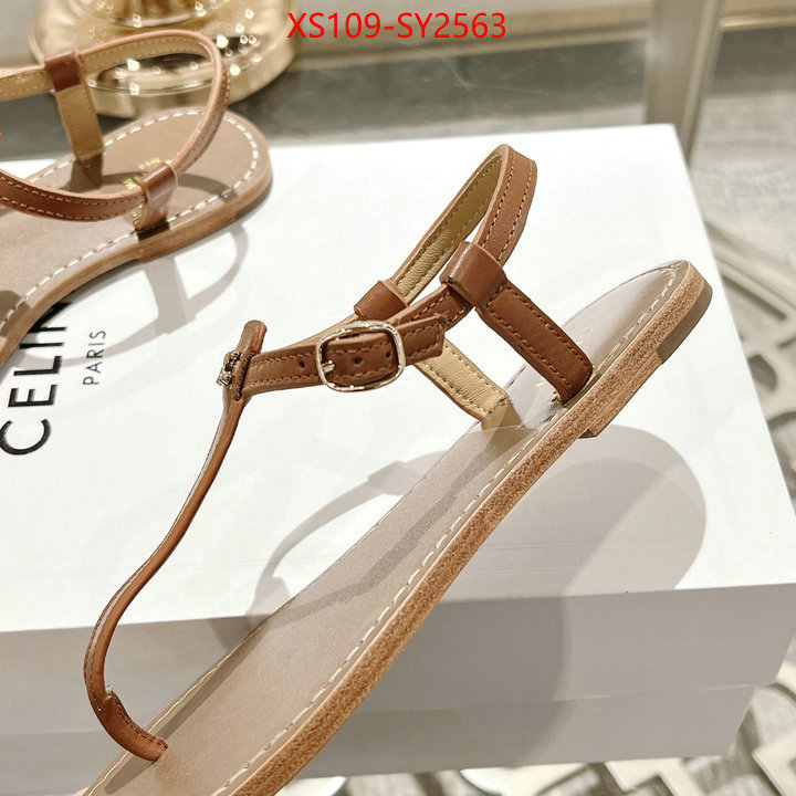 Women Shoes-CELINE luxury shop ID: SY2563 $: 109USD