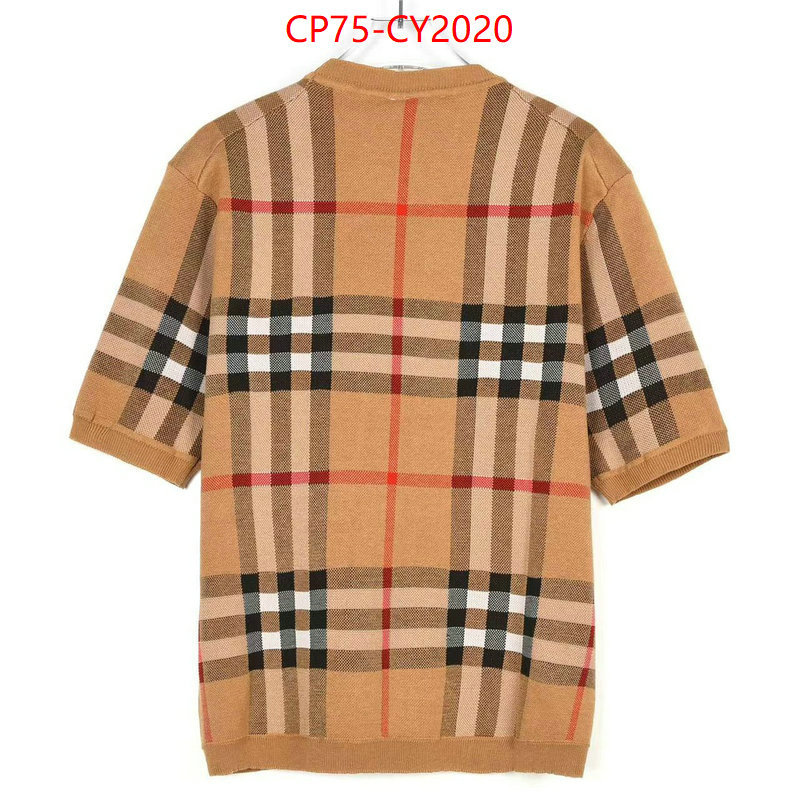 Clothing-Burberry every designer ID: CY2020 $: 75USD