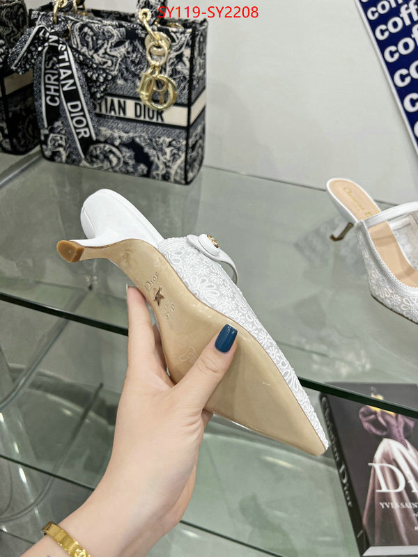 Women Shoes-Dior top quality ID: SY2208 $: 119USD