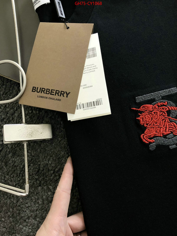 Clothing-Burberry,aaaaa+ replica designer ID: CY1068,$: 75USD