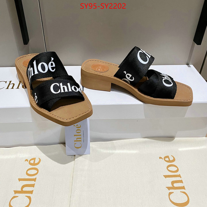 Women Shoes-Chloe the highest quality fake ID: SY2202 $: 95USD