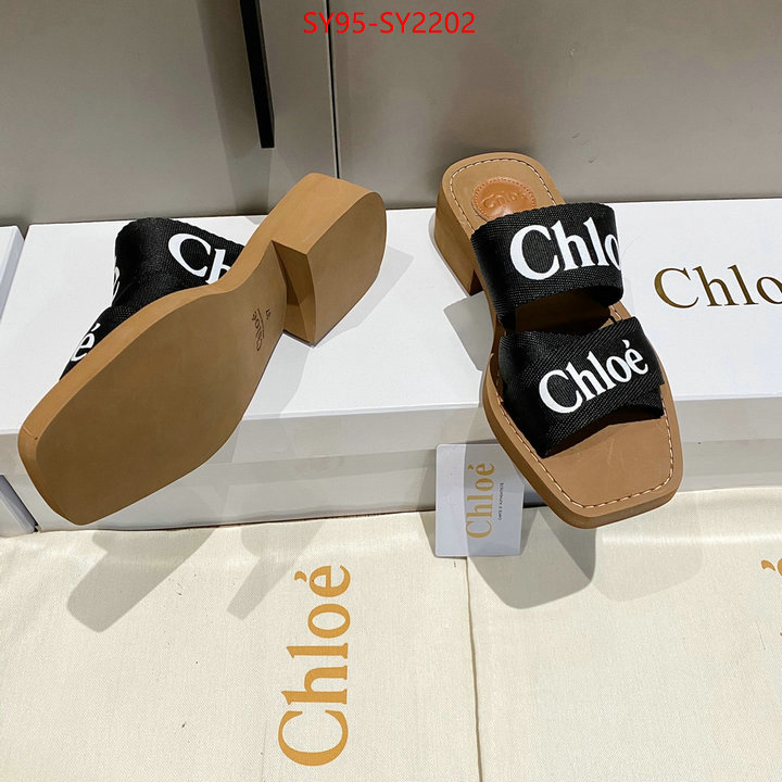 Women Shoes-Chloe the highest quality fake ID: SY2202 $: 95USD