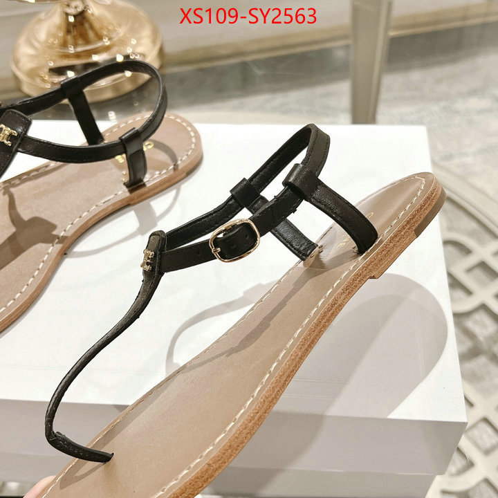 Women Shoes-CELINE luxury shop ID: SY2563 $: 109USD