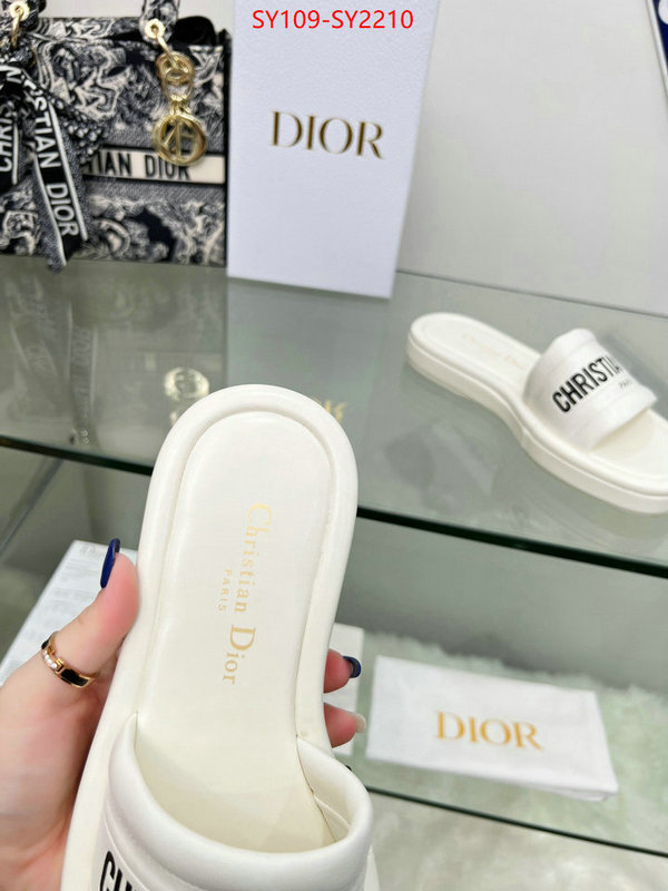 Women Shoes-Dior knockoff highest quality ID: SY2210 $: 109USD