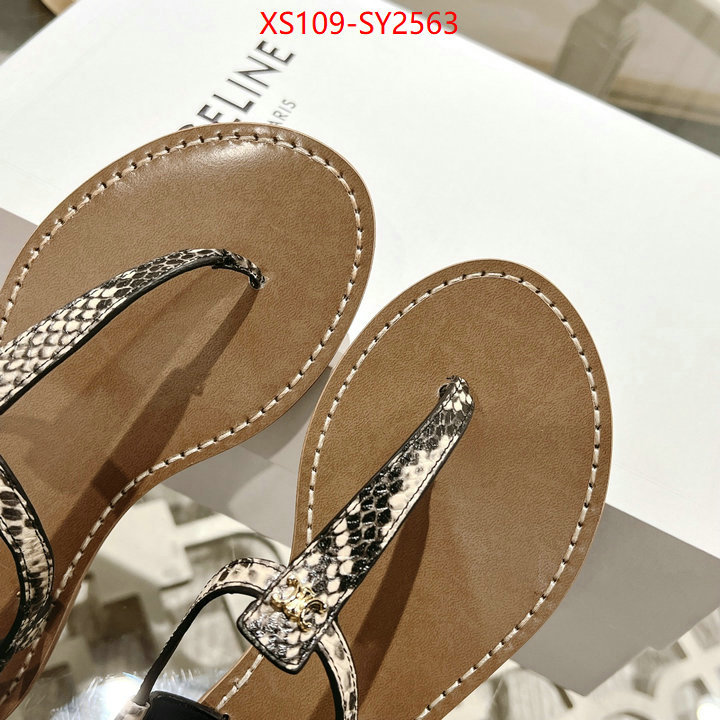 Women Shoes-CELINE luxury shop ID: SY2563 $: 109USD