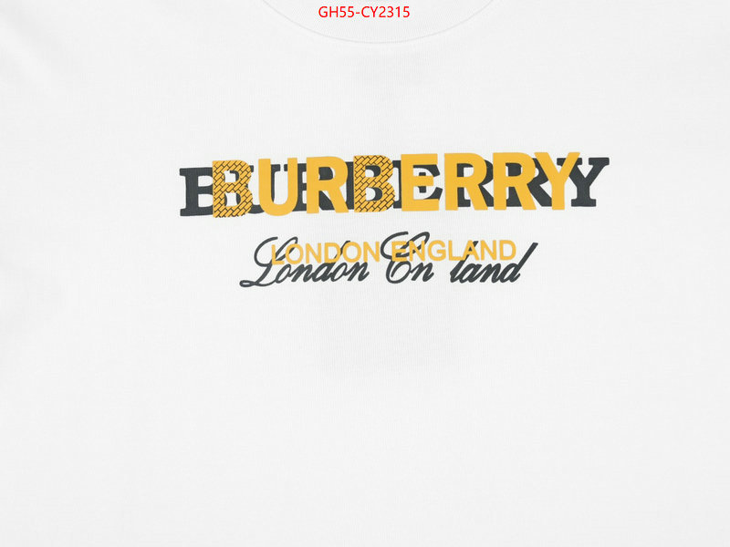 Clothing-Burberry luxury cheap ID: CY2315 $: 55USD