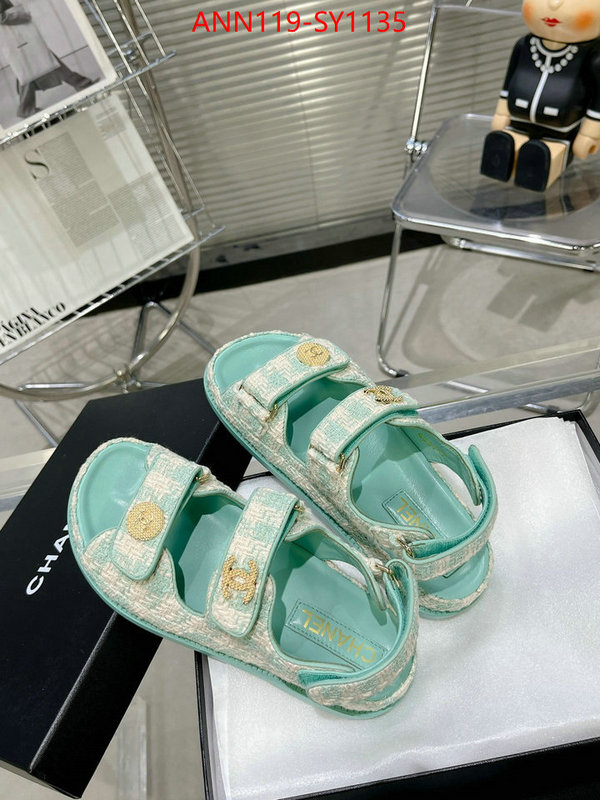 Women Shoes-Chanel,replica wholesale ID: SY1135,$: 119USD