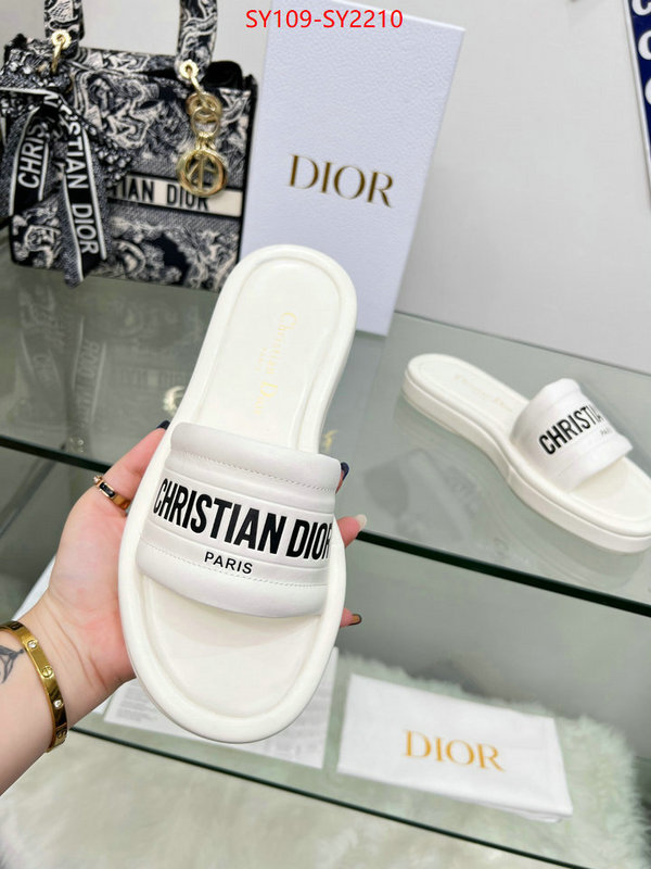 Women Shoes-Dior knockoff highest quality ID: SY2210 $: 109USD