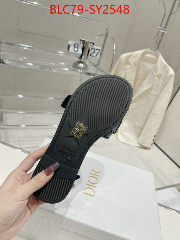 Women Shoes-Dior what best replica sellers ID: SY2548 $: 79USD