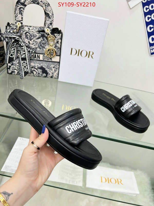 Women Shoes-Dior knockoff highest quality ID: SY2210 $: 109USD