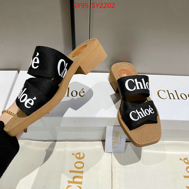 Women Shoes-Chloe the highest quality fake ID: SY2202 $: 95USD