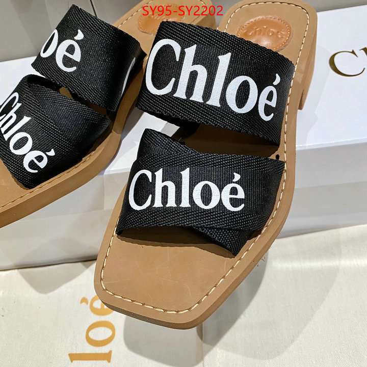 Women Shoes-Chloe the highest quality fake ID: SY2202 $: 95USD