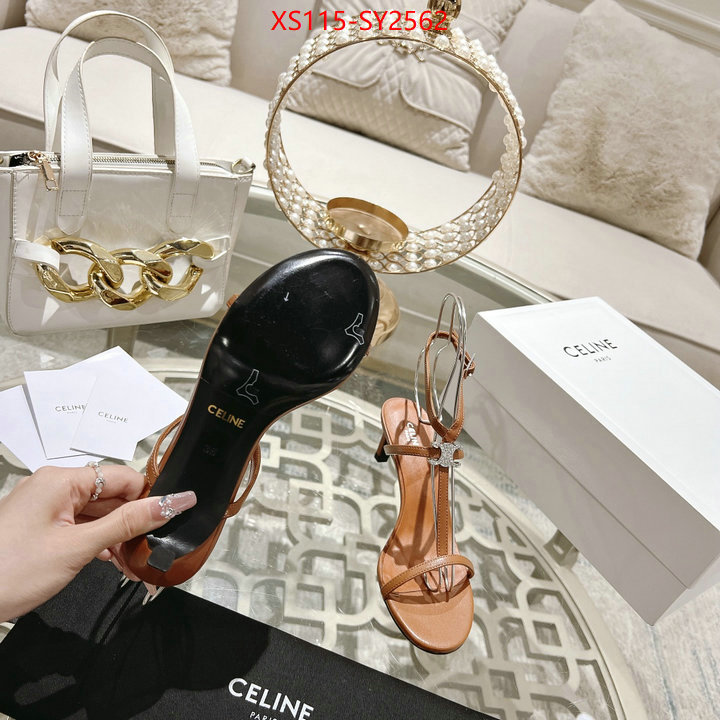 Women Shoes-CELINE from china ID: SY2562 $: 115USD