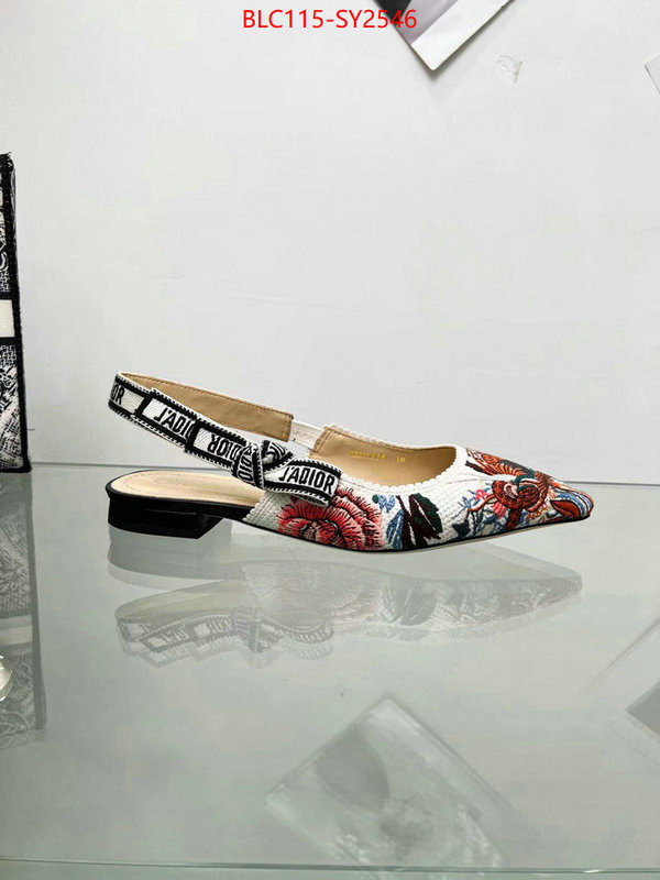 Women Shoes-Dior good ID: SY2546 $: 115USD