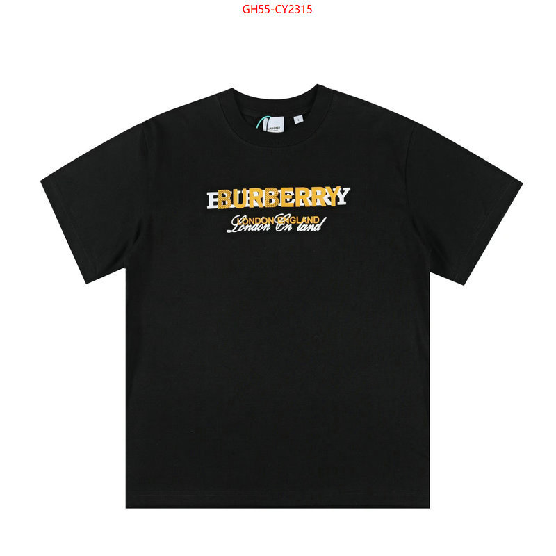 Clothing-Burberry luxury cheap ID: CY2315 $: 55USD