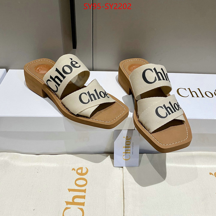 Women Shoes-Chloe the highest quality fake ID: SY2202 $: 95USD