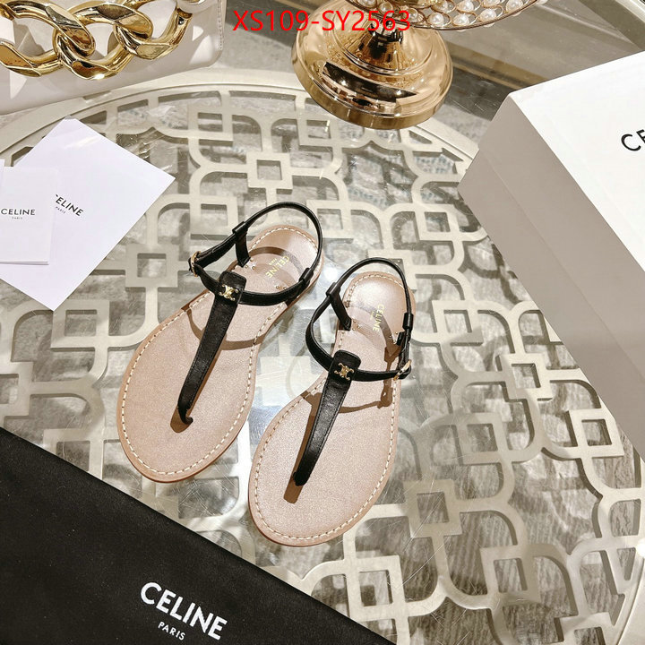 Women Shoes-CELINE luxury shop ID: SY2563 $: 109USD