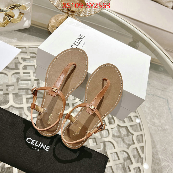 Women Shoes-CELINE luxury shop ID: SY2563 $: 109USD